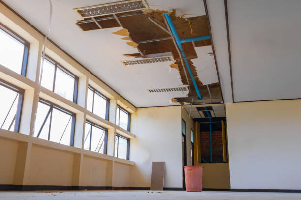 Best Flood damage cleanup  in Hidden Hills, CA