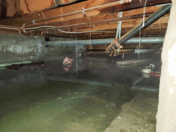  Hidden Hills, CA Water damage restoration Pros