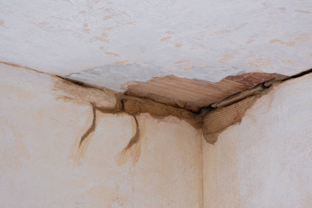 Best 24-hour water damage restoration  in Hidden Hills, CA
