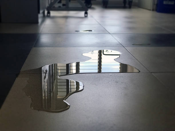 Best Water damage restoration near me  in Hidden Hills, CA