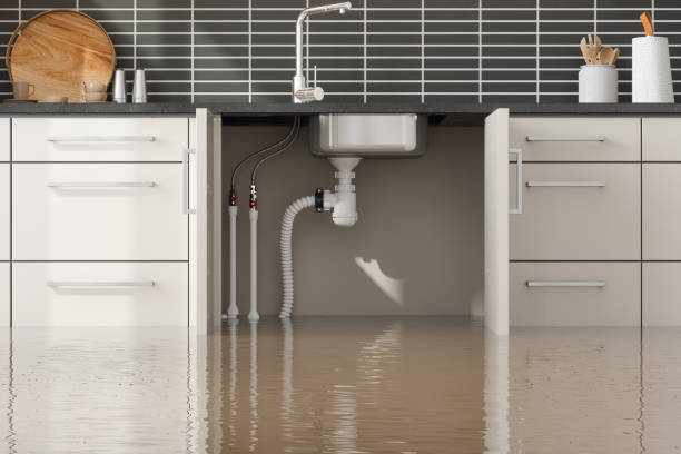 Best Flood damage cleanup  in Hidden Hills, CA