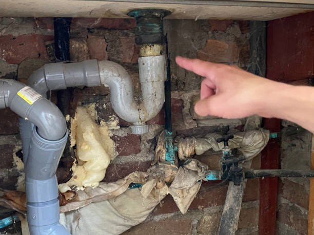 Best Water damage contractors near me  in Hidden Hills, CA