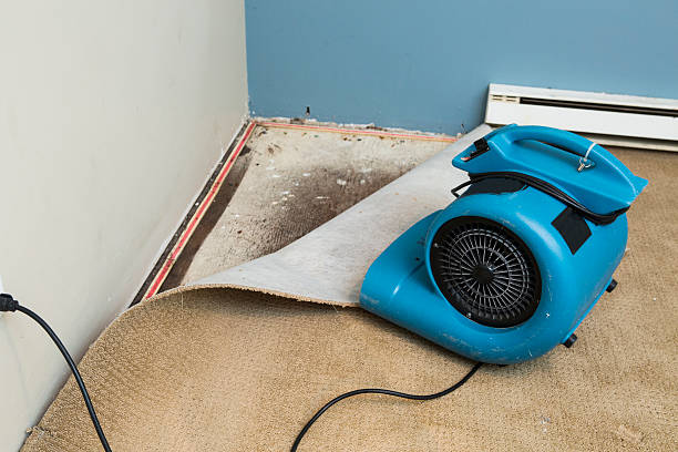 Best Ceiling water damage repair  in Hidden Hills, CA
